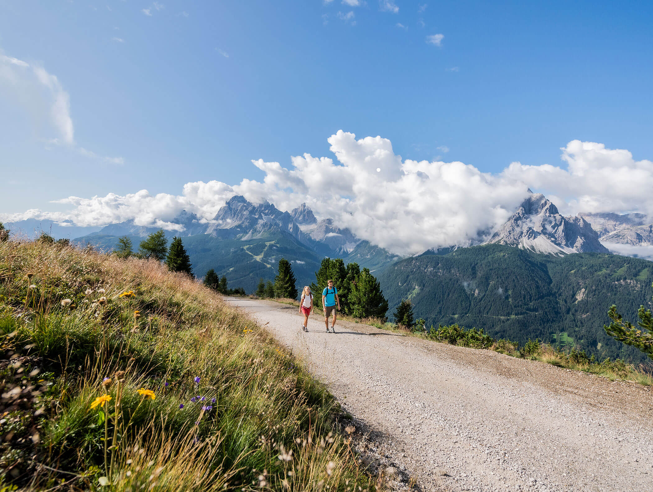 A couple hiking on a forest trail